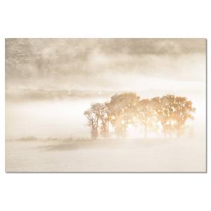 Tableau alu dibond terre du vent 50x30cm