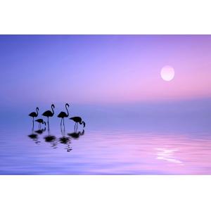 Tableau animaux flamant rose matinal imprimé sur toile 90x6…
