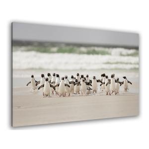 Tableau animaux pingouins imprimé sur toile 45x30cm