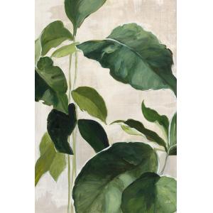 Tableau Aquarelle botanique imprimé sur toile 40x60 cm