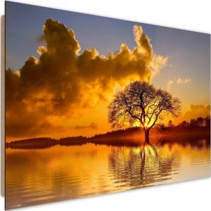 Tableau arbre vue bois à 3 120 x 80 cm