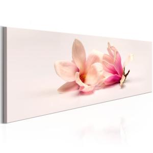 Tableau beaux magnolias 120 x 40 cm