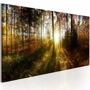 Tableau belle forêt 120 x 40 cm