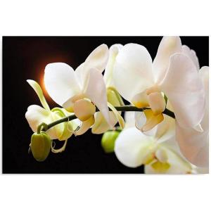 Tableau bois 12 orchidées 70 x 50 cm