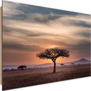Tableau bois arbre savane 120 x 80 cm