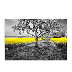 Tableau bois colza jaune 120 x 80 cm