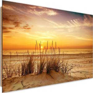 Tableau bois herbe sur la plage 3 120 x 80 cm
