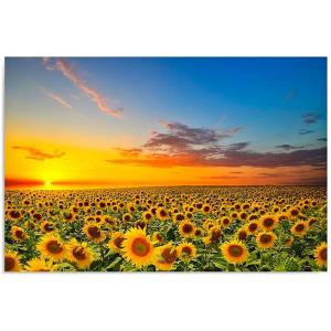 Tableau bois paysage tournesols 120 x 80 cm