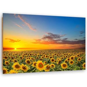 Tableau bois prairie de tournesols 120 x 80 cm