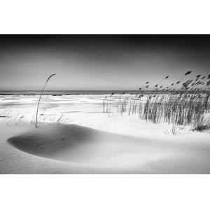Tableau bord de plage on the beach  imprimé sur toile 90x60…