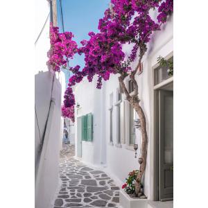 Tableau bougainvilliers paros imprimé sur toile 60x90 cm