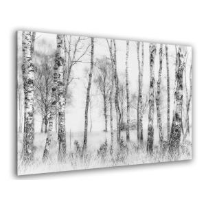 Tableau bouleaux en monochrome toile imprimée 50x30cm