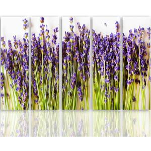 Tableau bourgeons de lavande 250 x 120 cm