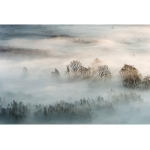 Tableau brouillard hivernal impression sur aluminium 60x40…
