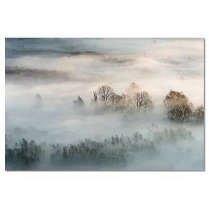 Tableau brouillard hivernal imprimé sur alu 45x30cm