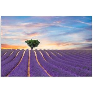 Tableau champ de lavande 120 x 80 cm