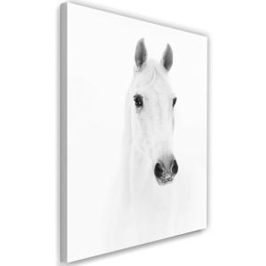 Tableau cheval gris 80 x 120 cm