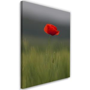 Tableau coquelicot en deux 80 x 120 cm