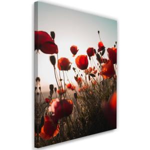 Tableau coquelicots aux soleils 80 x 120 cm