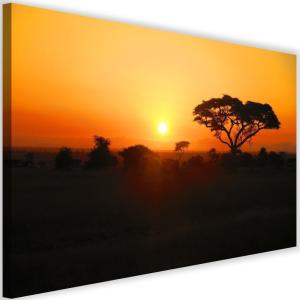 Tableau coucher de soleil africain 120 x 80 cm