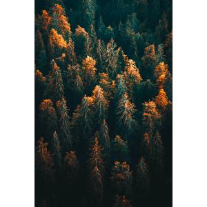 Tableau couleur d'automne en haute savoie imprimé sur toile…
