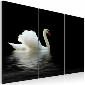 Tableau cygne seul 120 x 80 cm