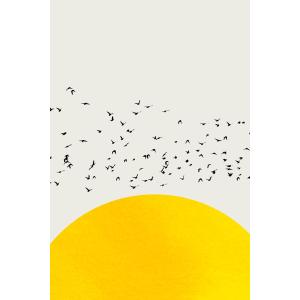 Tableau dessin 1000 oiseaux imprimé sur toile 60x90 cm