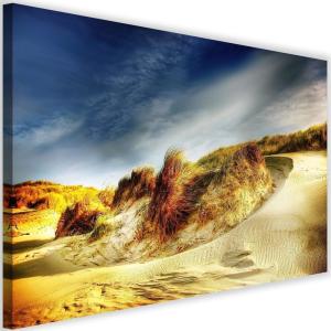 Tableau dunes 120 x 80 cm