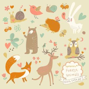 Tableau enfant animaux de la forêt imprimé sur toile 50x50…