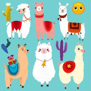 Tableau enfant lamas imprimé sur toile 50x50 cm