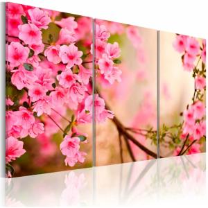 Tableau fleur de cerisier 120 x 80 cm