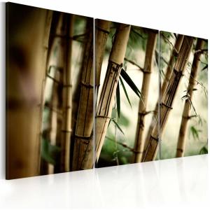Tableau forêt tropicale 120 x 80 cm