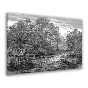 Tableau gravure forêt de mangroves toile imprimée 120x80cm