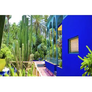 Tableau jardin majorelle impression sur alu 120x80 cm