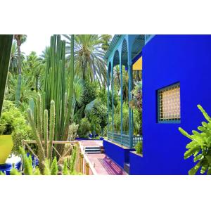 Tableau jardin majorelle impression sur aluminium 120x80 cm