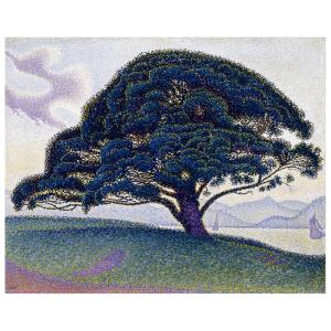 Tableau le pin, Saint Tropez Paul Signac 80x100cm
