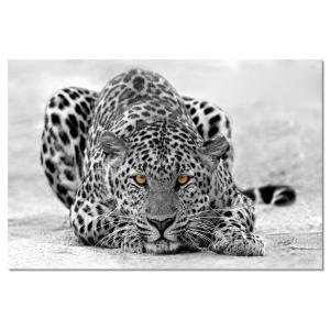 Tableau leopard noir et blanc toile imprimée 120x80cm