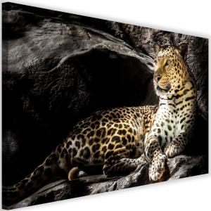 Tableau léopard sur les rochers 120 x 80 cm