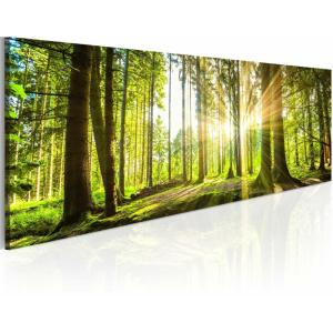 Tableau lumière du jour 120 x 40 cm