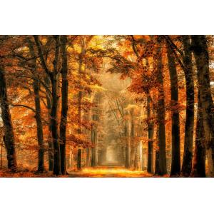 Tableau magie de l'automne imprimé sur toile 90x60 cm