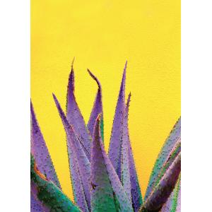 Tableau métal cactus violet 32x45