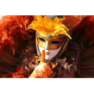 Tableau monde carnaval de venise  imprimé sur toile 90x60 c…