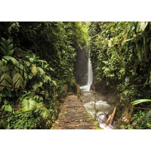 Tableau mural forêt tropicale