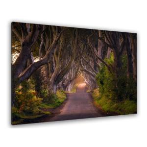 Tableau nature arbres enchanteurs toile imprimée 120x80cm