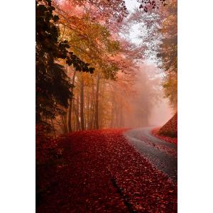 Tableau nature explosion automnale imprimé sur toile 60x90…