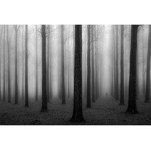 Tableau nature foggy weather impression sur aluminium 120x8…