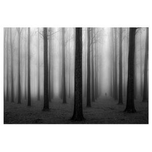 Tableau nature foggy weather imprimé sur alu 45x30cm