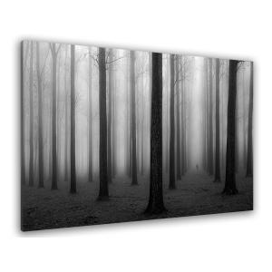 Tableau nature foggy weather imprimé sur toile 45x30cm