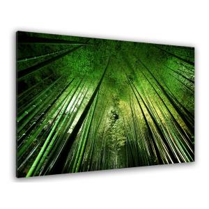 Tableau nature forêt de bambous à kyoto Tableau plexiglas 1…
