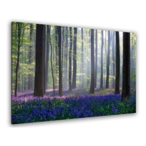 Tableau nature jacinthes et sous-bois toile imprimée 120x80…